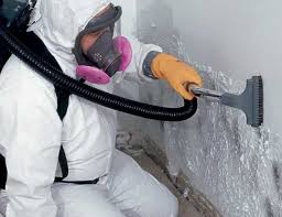 Mold Remediation for Vacation Homes in Willows, CA